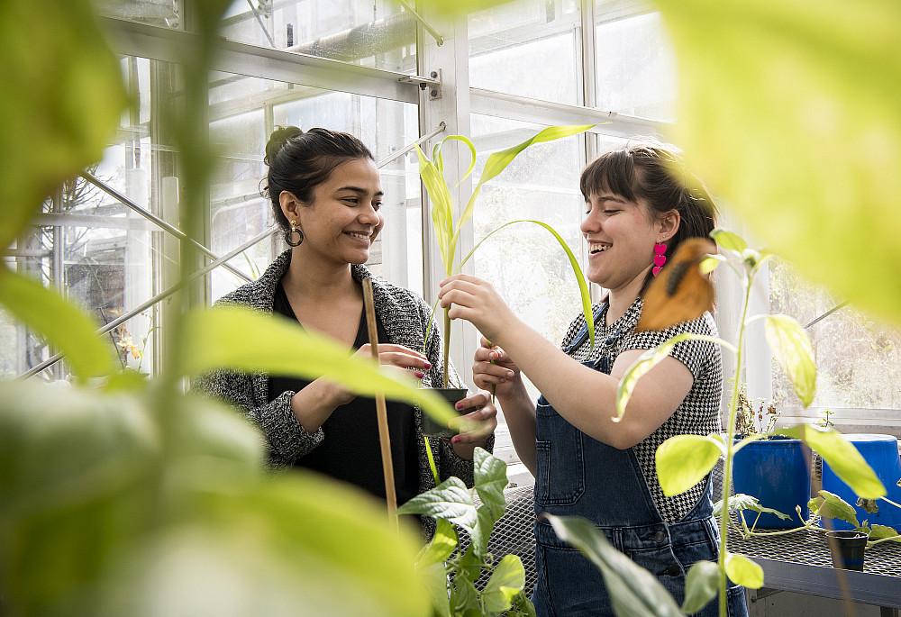 Two students work together in the Science Center greenhouse.